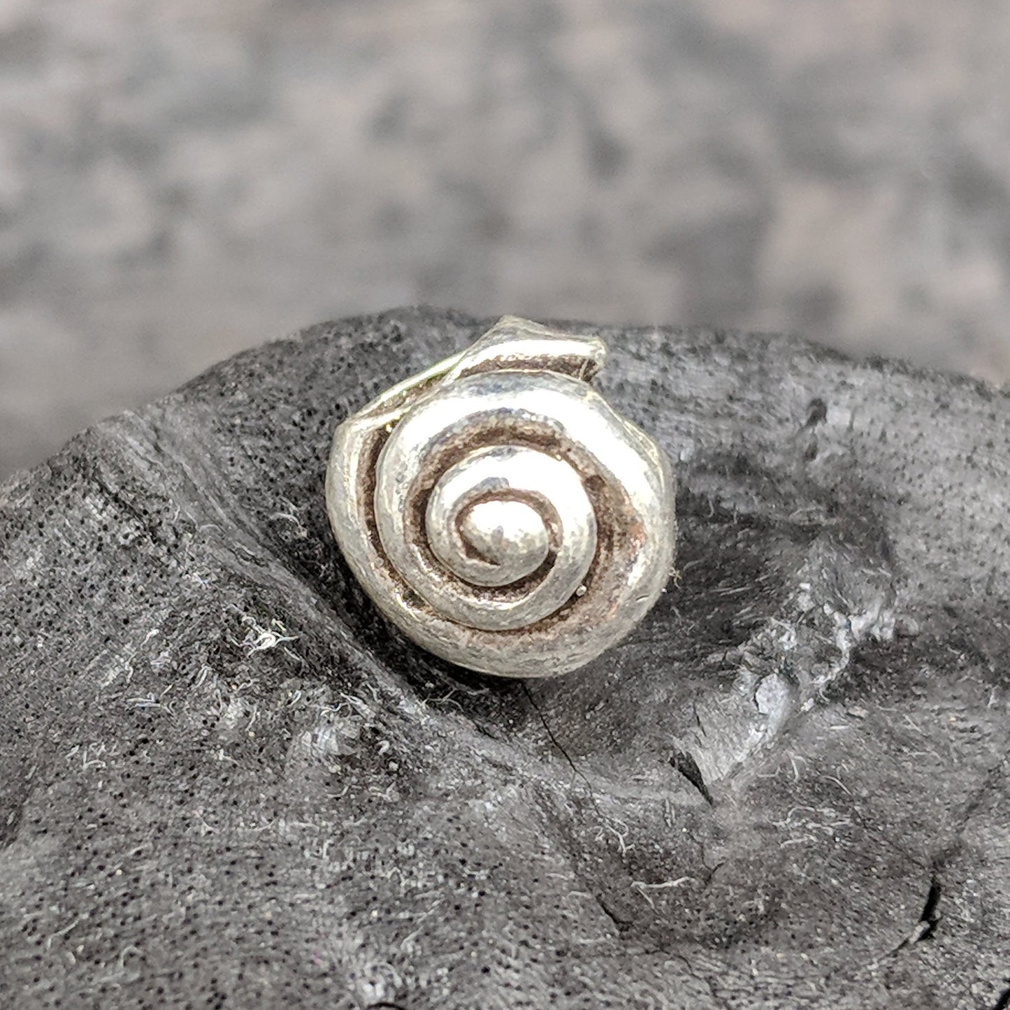 Charm - Sea Shell