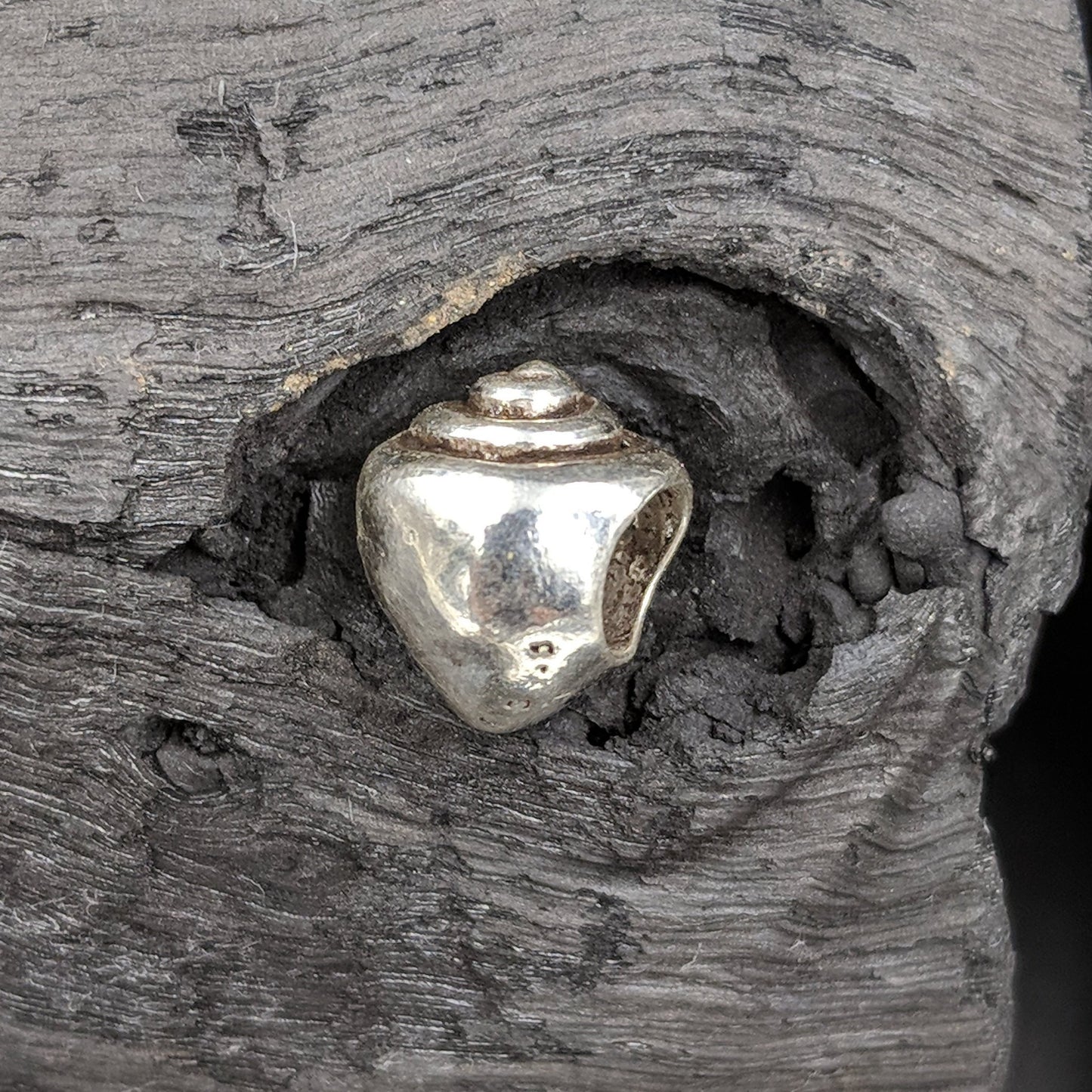 Charm - Sea Shell