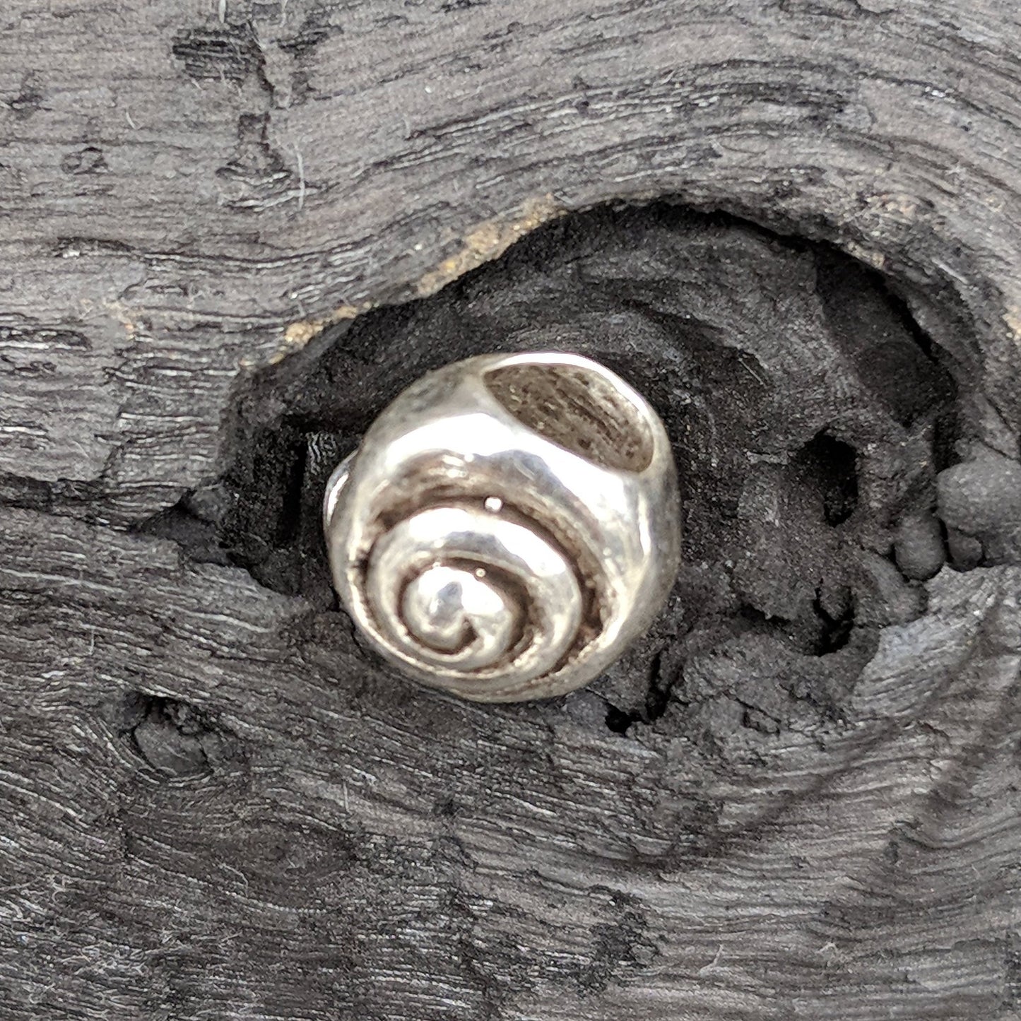 Charm - Sea Shell