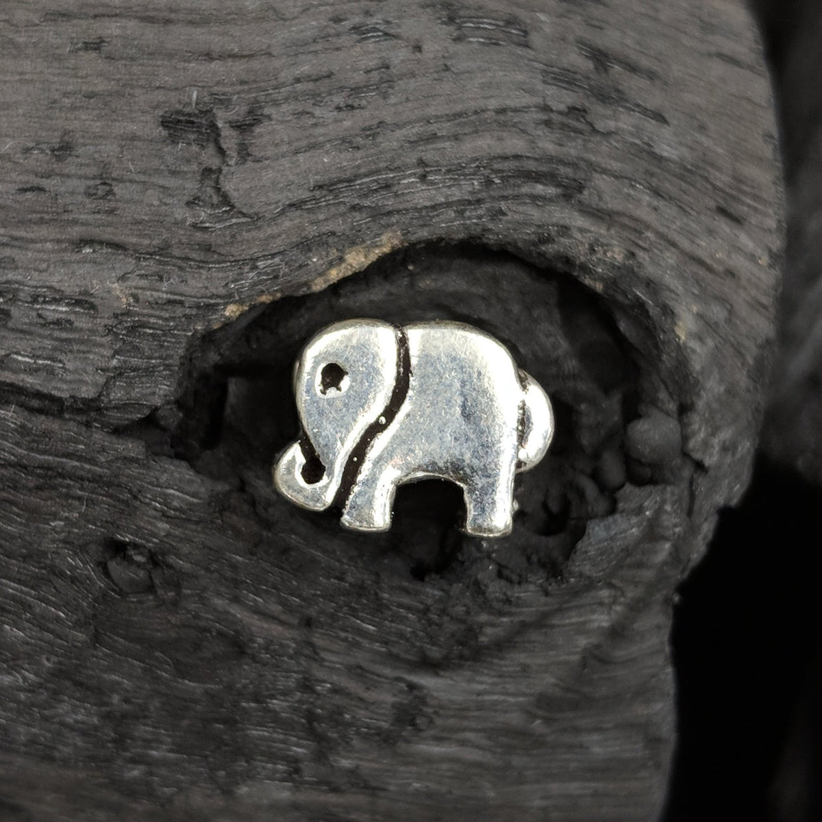 Charm - Elephant