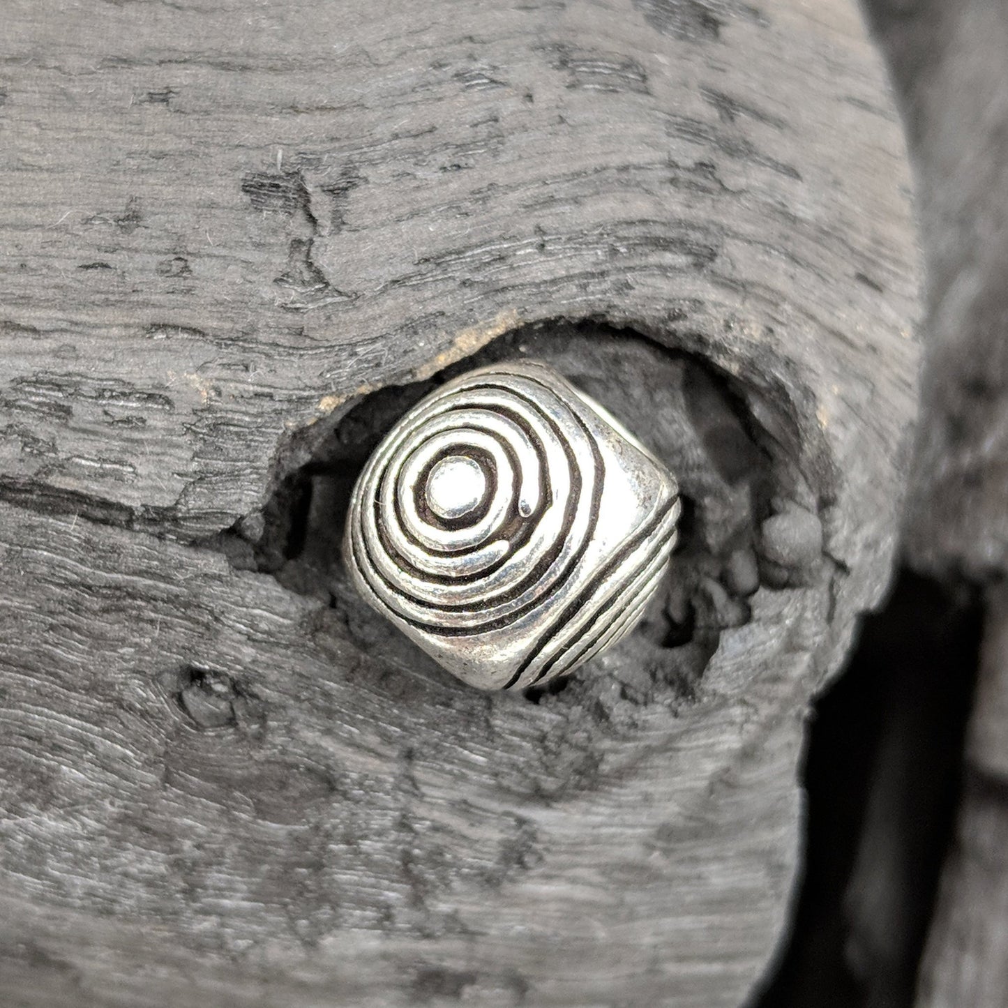 Charm - Concentric