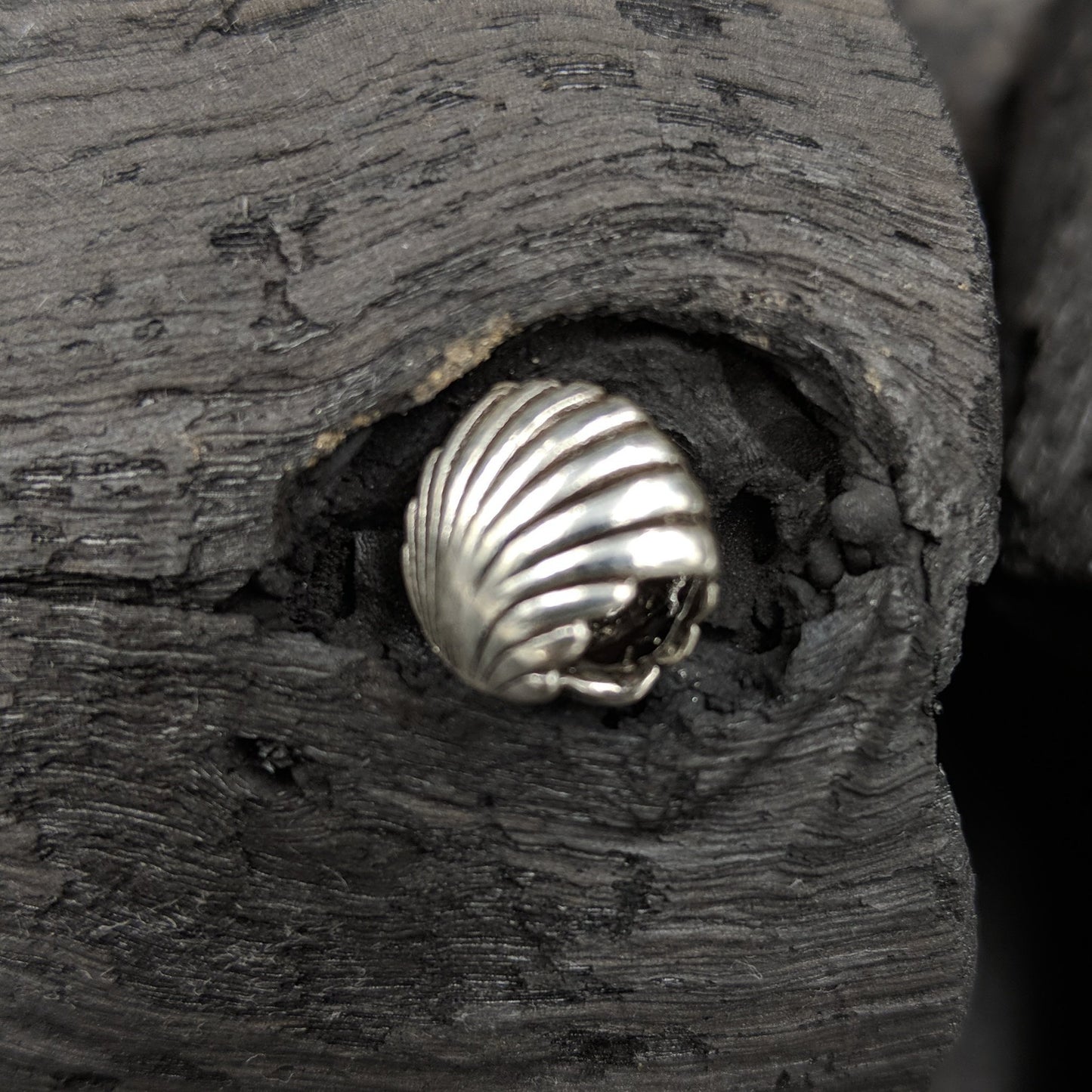 Charm - Cockle Shell