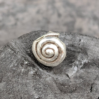 ಚಾರ್ಮ್ - ಸಮುದ್ರ ಶೆಲ್