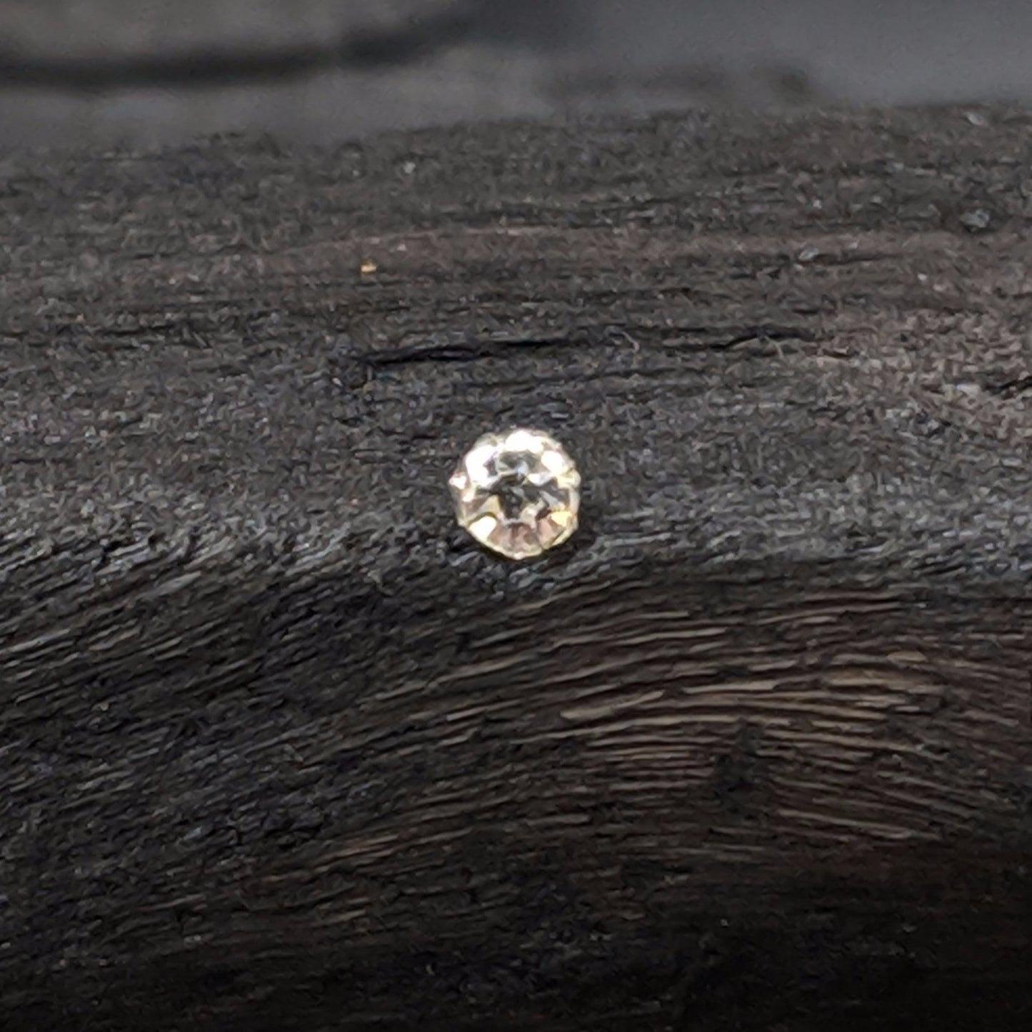 Circle White Nose Pin- Wired