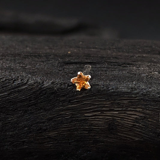 Star Orange Nose Pin